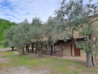 Foto Agriturismo a Castelplanio Moie di 460 m² con 16 locali in vendita