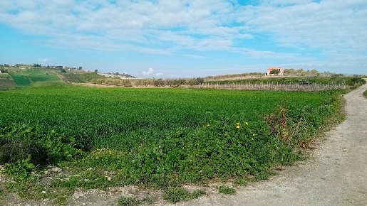 Foto Agriturismo a Campobello di Licata di 5500 m² con 1 locali in vendita