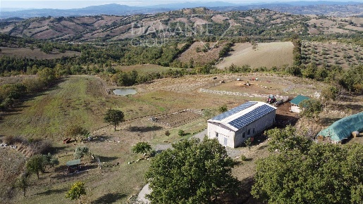 Foto Cessione attività a Roccalbegna Centro con 8 locali in vendita