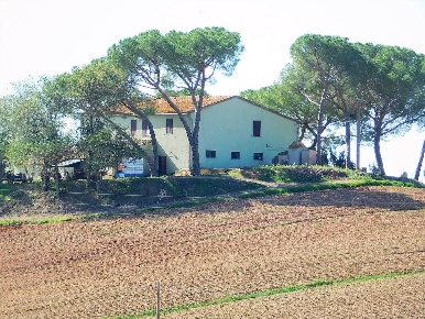 Foto Cessione attività a Roccastrada di 335 m² con 12 locali in vendita