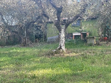 Foto Struttura sanitaria a Cecina Cecina Centro di 44 m² con 1 locali