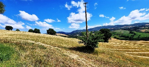 Foto Cessione attività a San Severino Marche Centro con 1 locali in vendita
