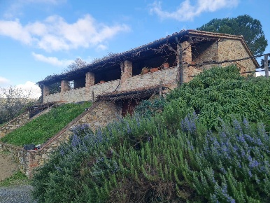 Foto Agriturismo a Volterra di 6300 m² con 5 locali in vendita