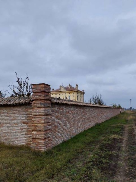 immagine annuncio 7 di 14