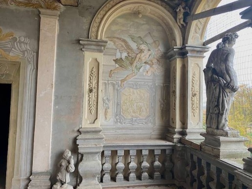 immagine annuncio 9 di 14