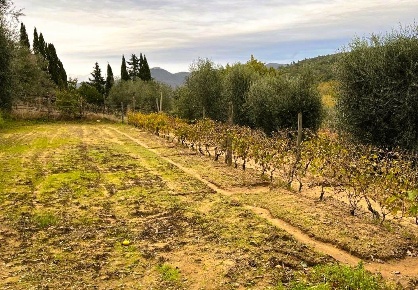 Foto Struttura sanitaria a Castagneto Carducci di 70 m² con 2 locali