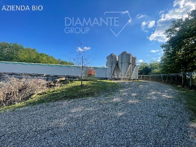 Foto Cessione attività a Siena San Domenico - Fontebranda di 1680 m²