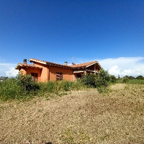 Foto Cessione attività a Grosseto La Principina di 20330 m² con 7 locali