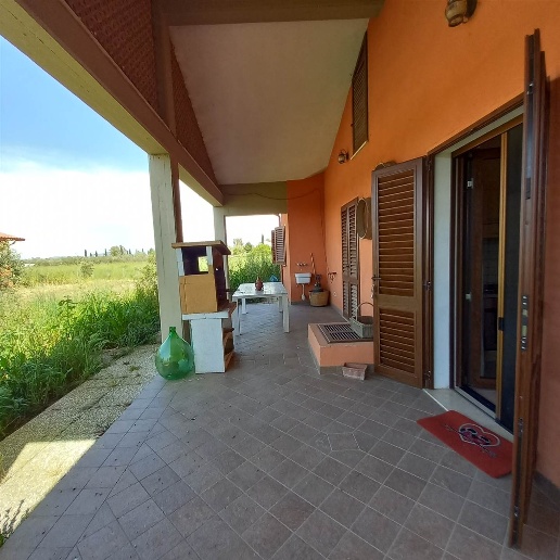 immagine annuncio 3 di 14