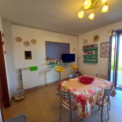 immagine annuncio 6 di 14