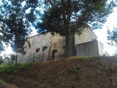 Foto Cessione attività a Trequanda Centro di 500 m² con 10 locali