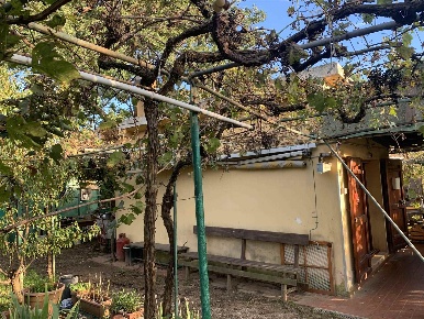 Foto Struttura sanitaria a Piombino di 1151 m² con 2 locali in vendita