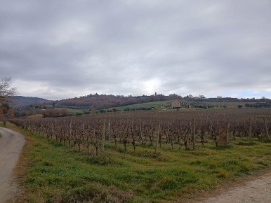 Foto Cessione attività a Passignano sul Trasimeno in vendita