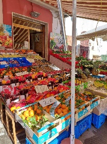 Foto Attività commerciale a Canosa di Puglia Centro di 100 m² con 2 locali