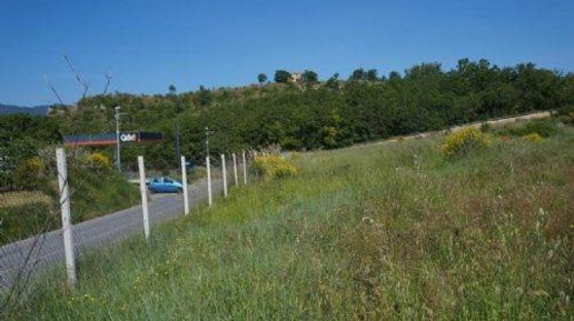 Foto Agriturismo a Carolei di 4000 m² in vendita