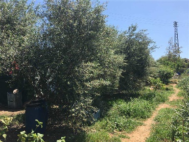 Foto Magazzino a Ficarazzi di 115 m² in vendita