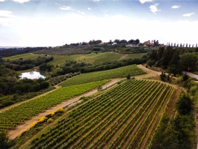 Foto Cessione attività a Greve in Chianti Capannunccia di 950 m² in vendita