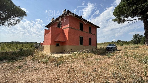 Foto Cessione attività a Farnese di 720 m² con 8 locali in vendita
