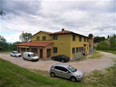 Foto Attività commerciale a Torrita di Siena Montefollonico di 357 m²