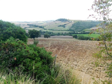 Foto Cessione attività a Campagnatico di 370 m² con 8 locali in vendita