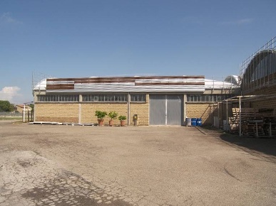 Foto Magazzino a Torrita di Siena Centro di 800 m² in affitto