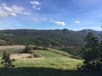 Foto Cessione attività in Podere La Sterza, Chianni di 1000 m² con 1 locali