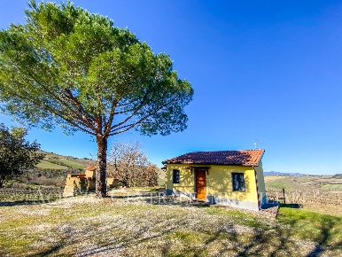 Foto Cessione attività a Cinigiano Centro di 40032 m² con 2 locali