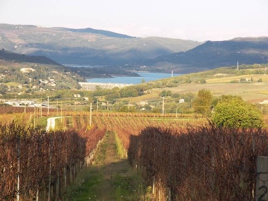 Foto Attività commerciale a Orvieto di 350 m² con 1 locali in vendita