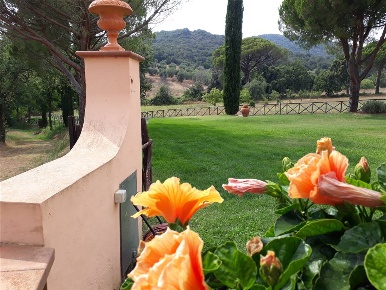 Foto Agriturismo a Castiglione della Pescaia di 350 m² con 15 locali