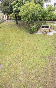 Foto Casa indipendente a Preganziol Centro di 240 m² con 7 locali