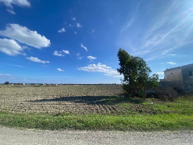 Foto Cessione attività a Pisticci con 1 locali in vendita