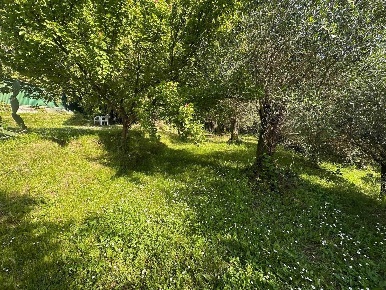 Foto Struttura sanitaria a Massarosa Massarosa Paese di 1500 m² in vendita