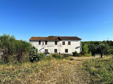 Foto Cessione attività a Magliano in Toscana di 621 m² con 20 locali