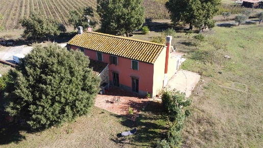 Foto Cessione attività a Gavorrano Centro di 315 m² con 5 locali in vendita