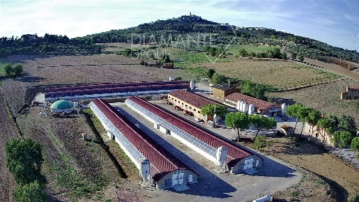 Foto Cessione attività a Magione Agello con 3 locali in vendita