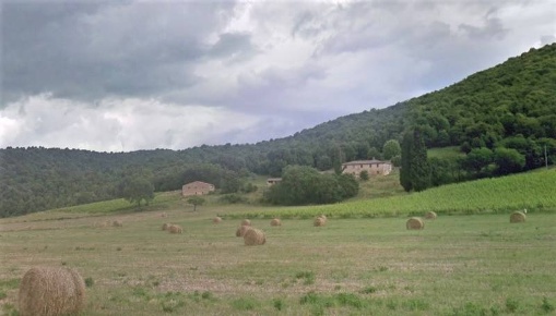 Foto Cessione attività a Casole d'Elsa Centro di 600 m² con 1 locali