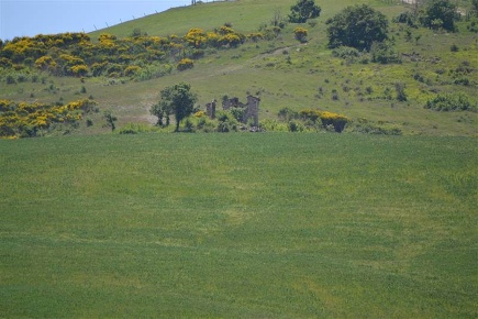 Foto Cessione attività a Castiglione d'Orcia Centro con 5 locali in vendita