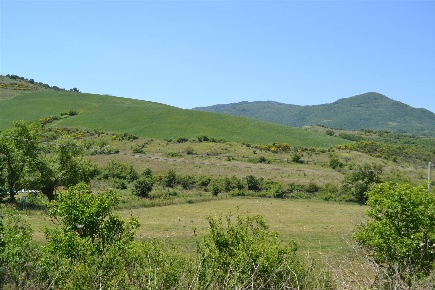 Foto Cessione attività a Castiglione d'Orcia Centro con 5 locali in vendita