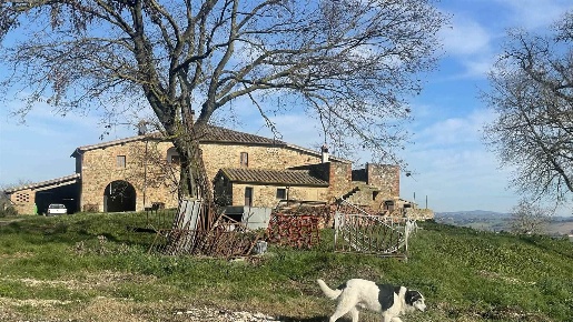 Foto Cessione attività a Montalcino di 1550 m² con 8 locali in vendita