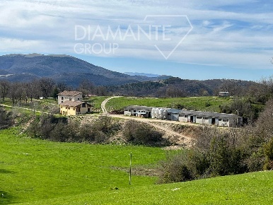Foto Cessione attività a Sellano di 3233 m² con 10 locali in vendita