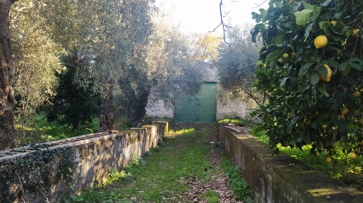 Foto Struttura sanitaria a Santa Venerina di 14210 m² con 1 locali