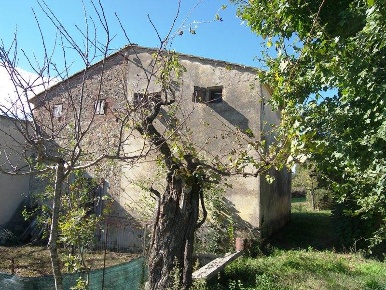 Foto Struttura sanitaria a Torrita di Siena di 50 m² con 1 locali