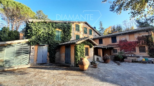 Foto Cessione attività a Montefalco Centro di 51464 m² con 20 locali