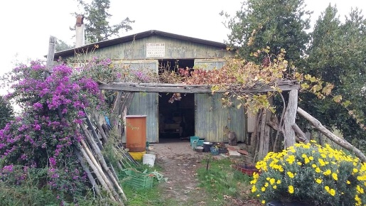 Foto Struttura sanitaria a Tuscania di 65 m² in vendita