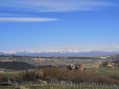 Foto Cessione attività a Monforte d'Alba di 400 m² con 21 locali in vendita