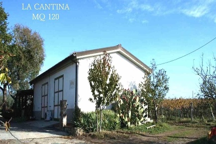 Foto Cessione attività in ZONA MONTEMASSI ZONA RIBOLLA, Roccastrada