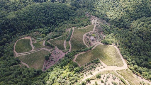 Foto Cessione attività a Gaiole in Chianti Centro con 10 locali in vendita