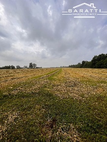 Foto Cessione attività a Guastalla Centro di 300 m² con 1 locali in vendita