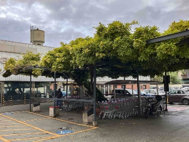 Foto Negozio a Firenze San Frediano di 150 m² con 4 locali in vendita