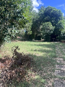Foto Struttura sanitaria a Livorno Porta a Terra - Padula di 1500 m²